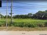 ขายที่ดินแปลงงาม:สะพานสูง กรุงเทพมหานคร